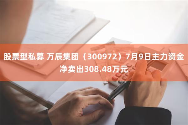 股票型私募 万辰集团（300972）7月9日主力资金净卖出308.48万元