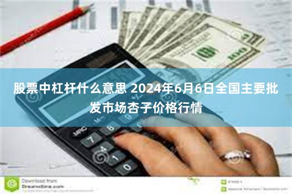 股票中杠杆什么意思 2024年6月6日全国主要批发市场杏子价格行情