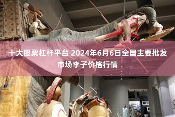 十大股票杠杆平台 2024年6月6日全国主要批发市场李子价格行情