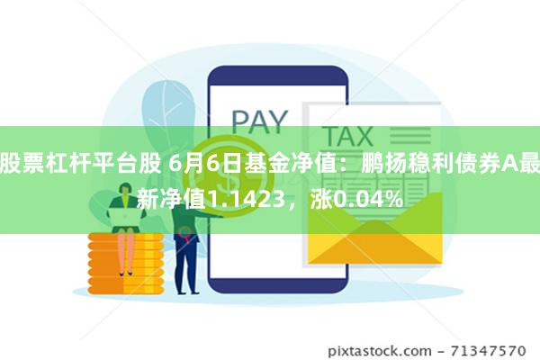 股票杠杆平台股 6月6日基金净值：鹏扬稳利债券A最新净值