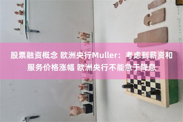 股票融资概念 欧洲央行Muller：考虑到薪资和服务价格