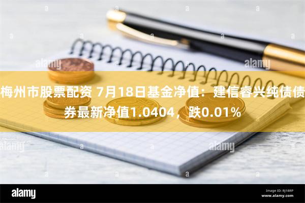 梅州市股票配资 7月18日基金净值：建信睿兴纯债债券最新净值1.0404，跌0.01%