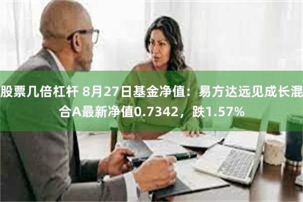 股票几倍杠杆 8月27日基金净值：易方达远见成长混合A最新净值0.7342，跌1.57%