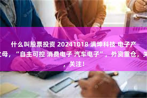 什么叫股票投资 20241018 满坤科技 电子产品之母，“自主可控 消费电子 汽车电子”，外资重仓，关注！