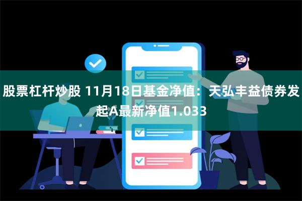 股票杠杆炒股 11月18日基金净值：天弘丰益债券发起A最新净值1.033