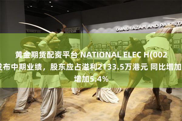 黄金期货配资平台 NATIONAL ELEC H(00213