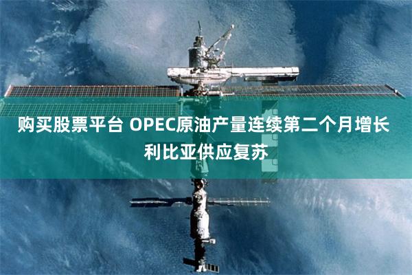 购买股票平台 OPEC原油产量连续第二个月增长 利比亚供应复苏