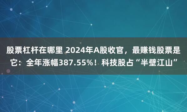 股票杠杆在哪里 2024年A股收官，最赚钱股票是它：全年涨幅387.55%！科技股占“半壁江山”