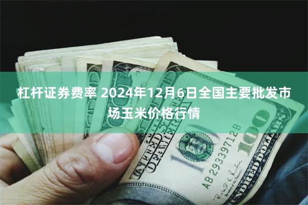 杠杆证券费率 2024年12月6日全国主要批发市场玉米价格行情