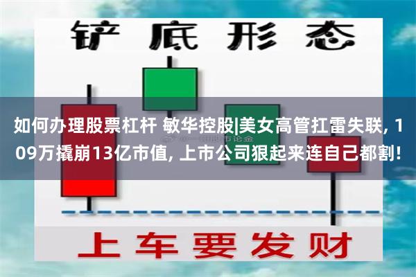 如何办理股票杠杆 敏华控股|美女高管扛雷失联, 109万撬崩13亿市值, 上市公司狠起来连自己都割!