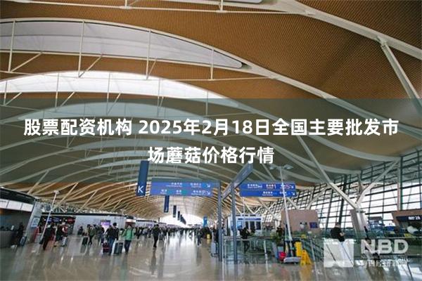 股票配资机构 2025年2月18日全国主要批发市场蘑菇价格行情