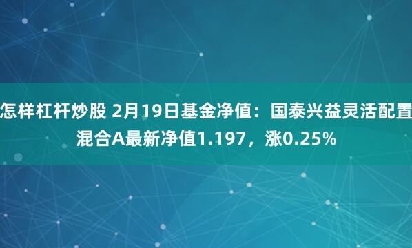 怎样杠杆炒股 2月19日基金净值：国泰兴益灵活配置混合A最新净值1.197，涨0.25%