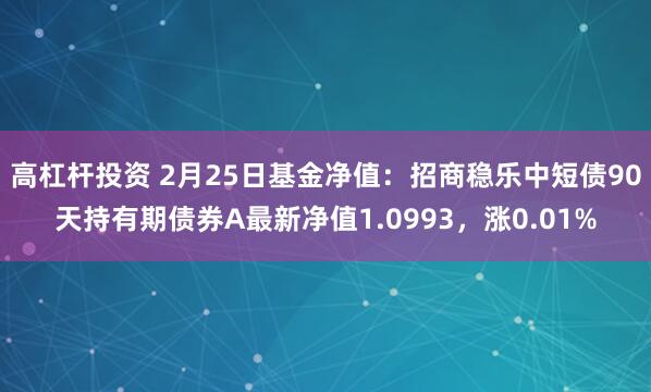 高杠杆投资 2月25日基金净值：招商稳乐中短债90天持有期债券A最新净值1.0993，涨0.01%