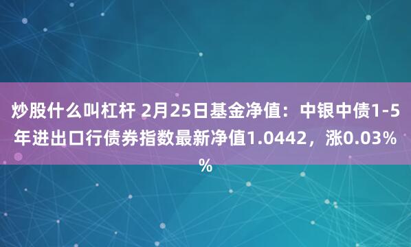 炒股什么叫杠杆 2月25日基金净值：中银中债1-5年进出口行债券指数最新净值1.0442，涨0.03%