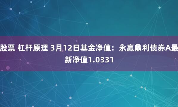 股票 杠杆原理 3月12日基金净值：永赢鼎利债券A最新净值1.0331