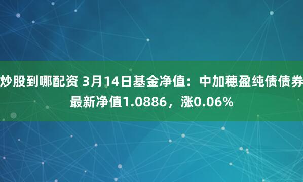 炒股到哪配资 3月14日基金净值：中加穗盈纯债债券最新净值1.0886，涨0.06%