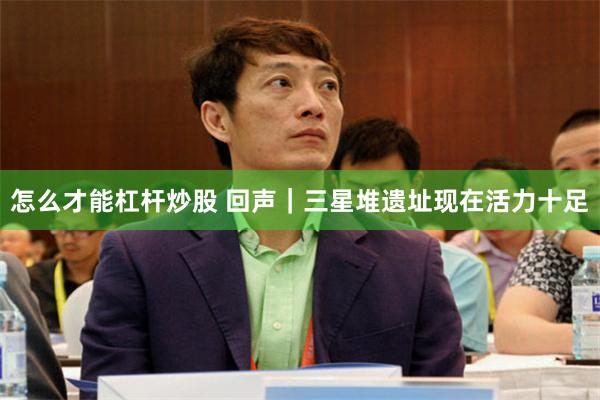 怎么才能杠杆炒股 回声｜三星堆遗址现在活力十足